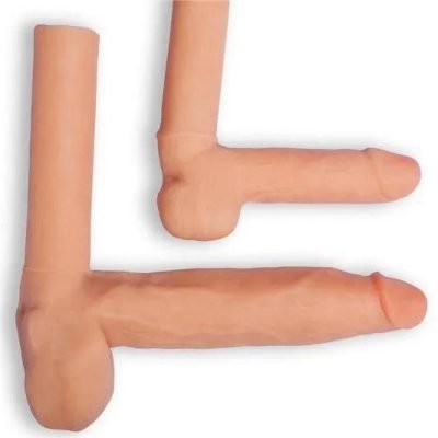 Penis  Attachment