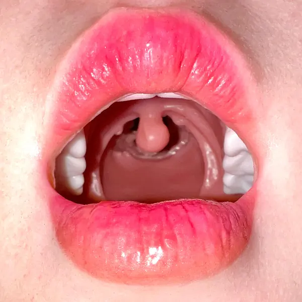 Realistic oral-sex head