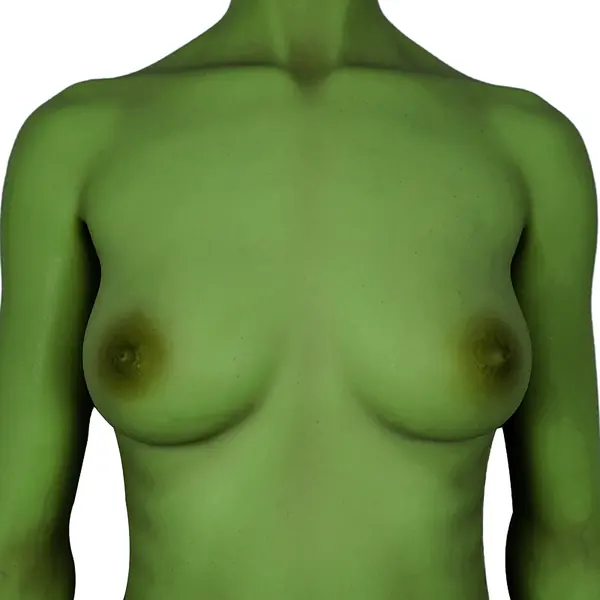 CLM Ultra Green